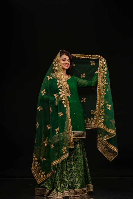 a woman in a green sari with gold accents