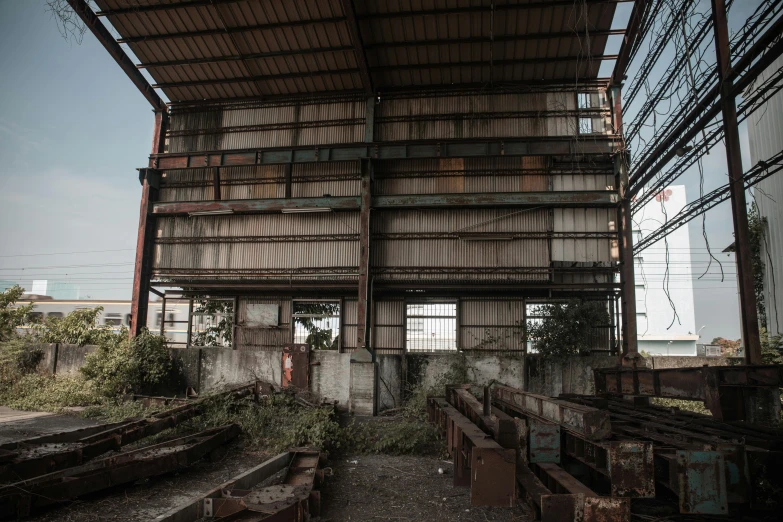 the interior of an old abandoned building with many plants growing in the windows