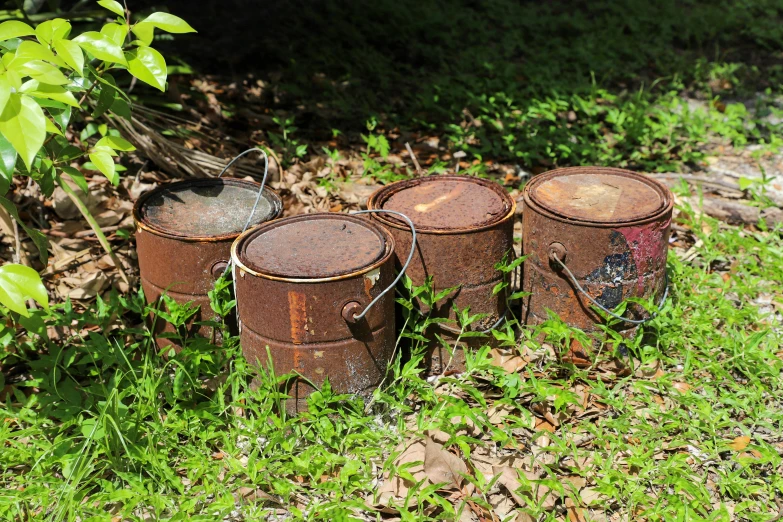 a bunch of rusty metal barrels sit out in the grass