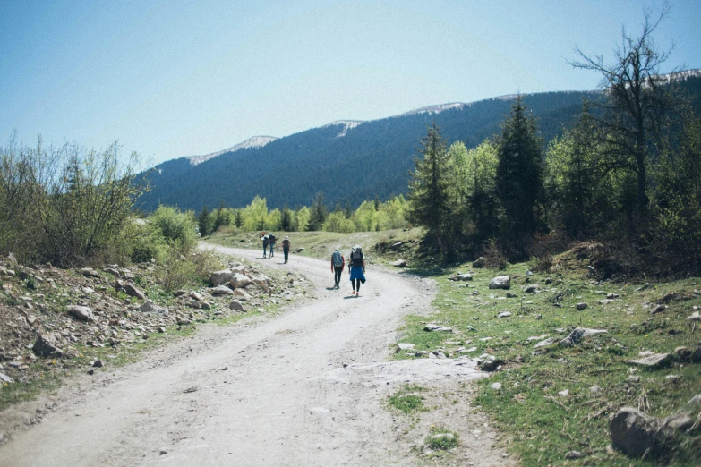 three people walking down a dirt road in front of a forest