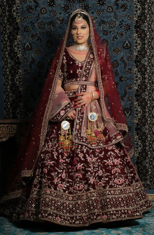 a bride in traditional indian garb poses for a po