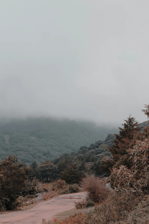 a dirt path up in the mountains on a cloudy day