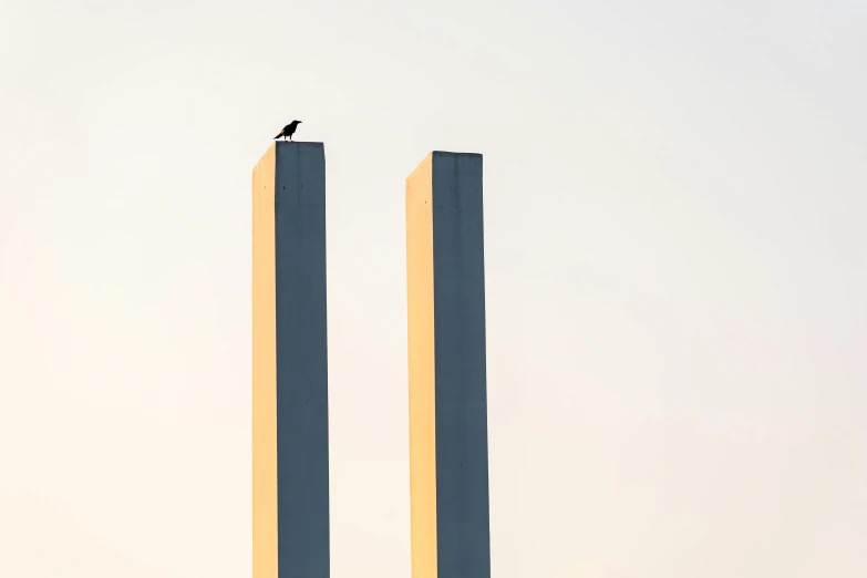 a black bird is sitting on top of two blocks of wood