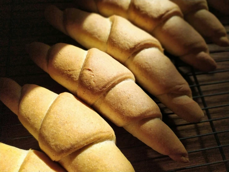 some bread loaves on a rack for cooking