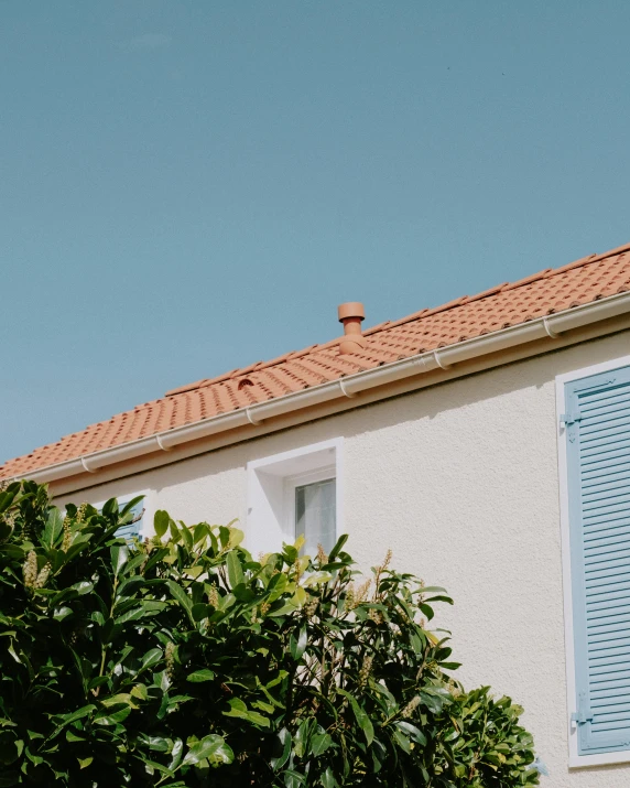 the shutters on the roof of a house are blue