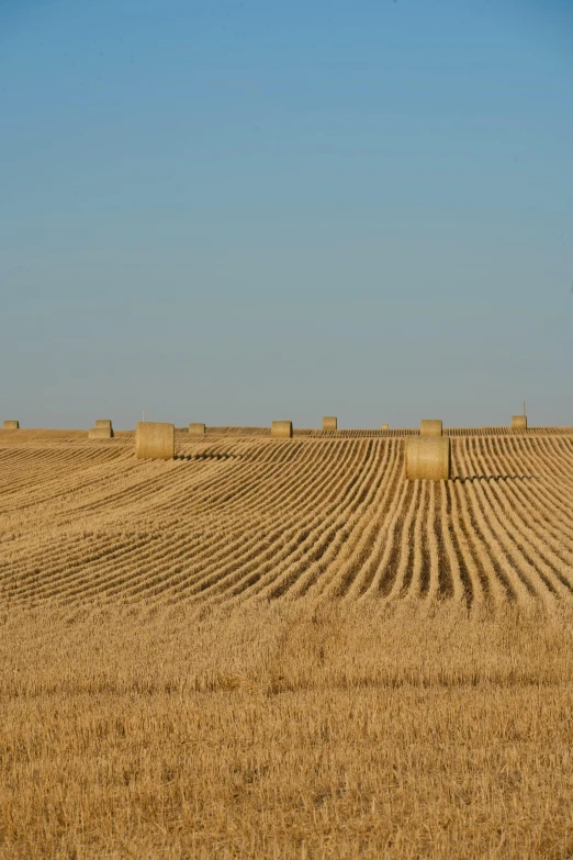 a very large field with hay bales