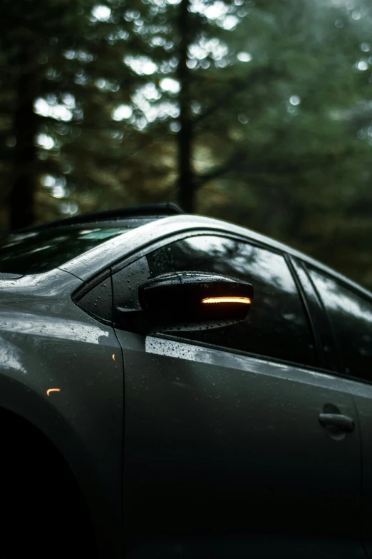 a grey car with yellow eyes sitting in a forest