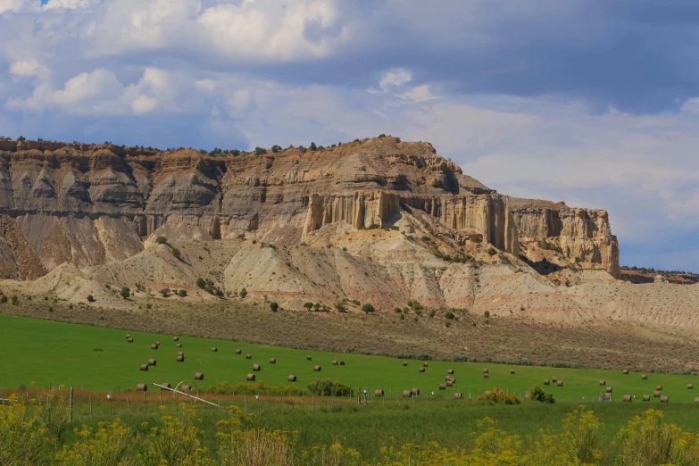 a field with horses grazing in front of a mountain