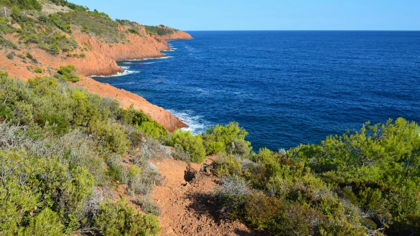 a blue ocean near many trees and a cliff