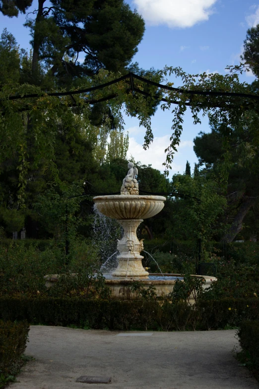 the beautiful stone fountain is in the middle of a forest