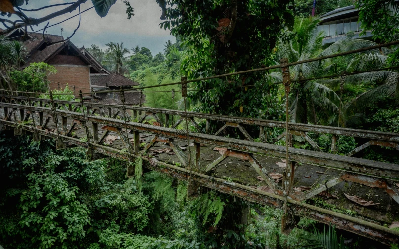 an old rusty iron bridge in a jungle