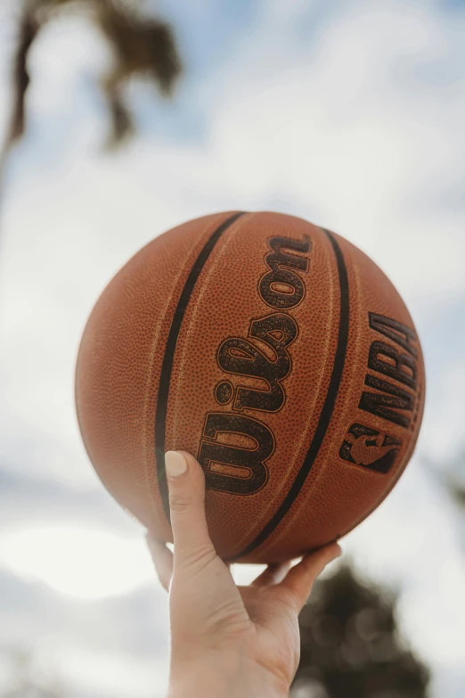 a hand holding a basketball under a blue cloudy sky