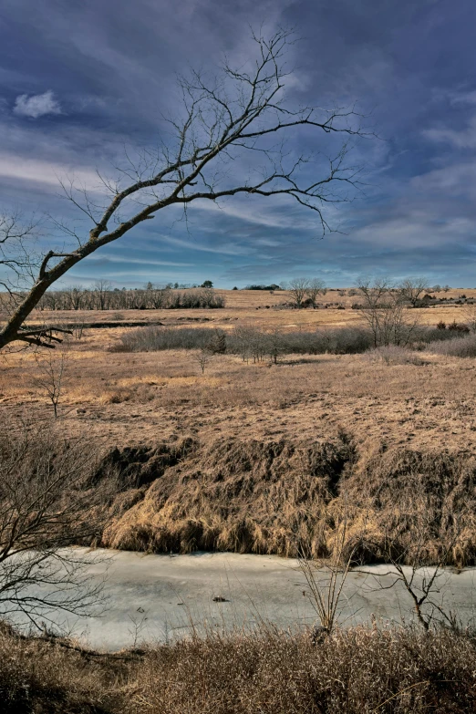 a large field has sp grass, a body of water and no people