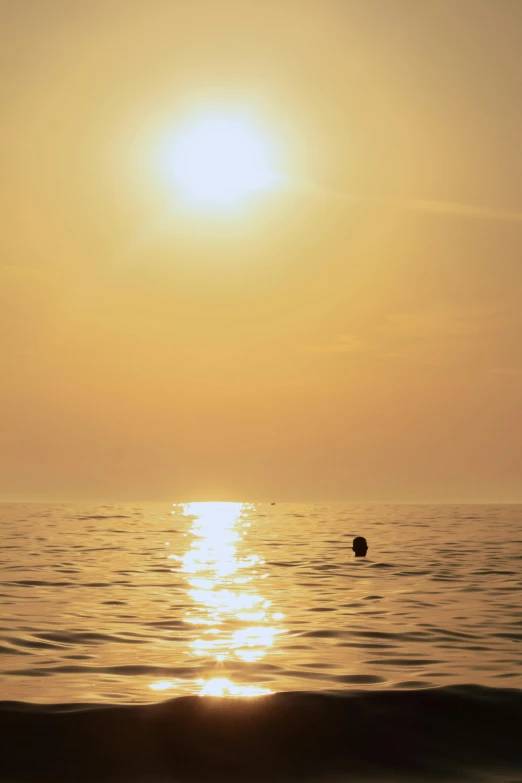 the sun shining down behind a lone bird swimming