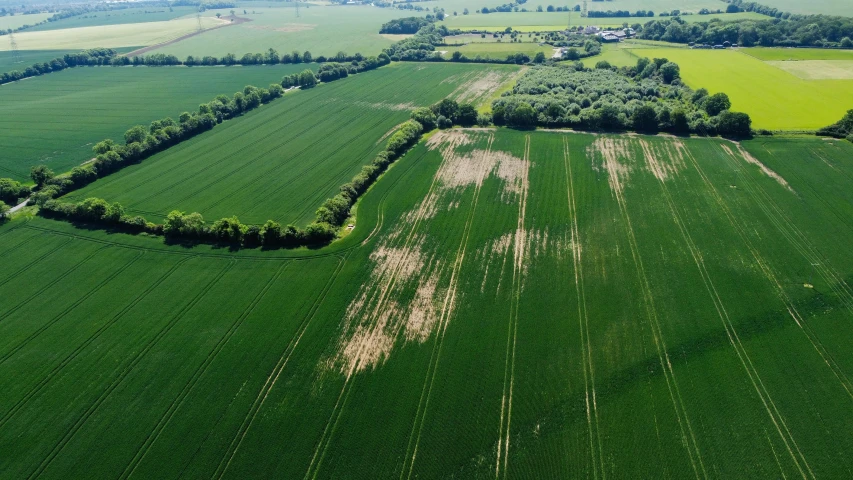 a beautiful green field full of trees in the distance