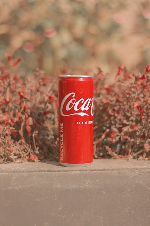 a can of coca cola sitting next to some plants