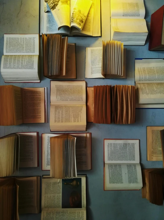 a room filled with many books on the wall