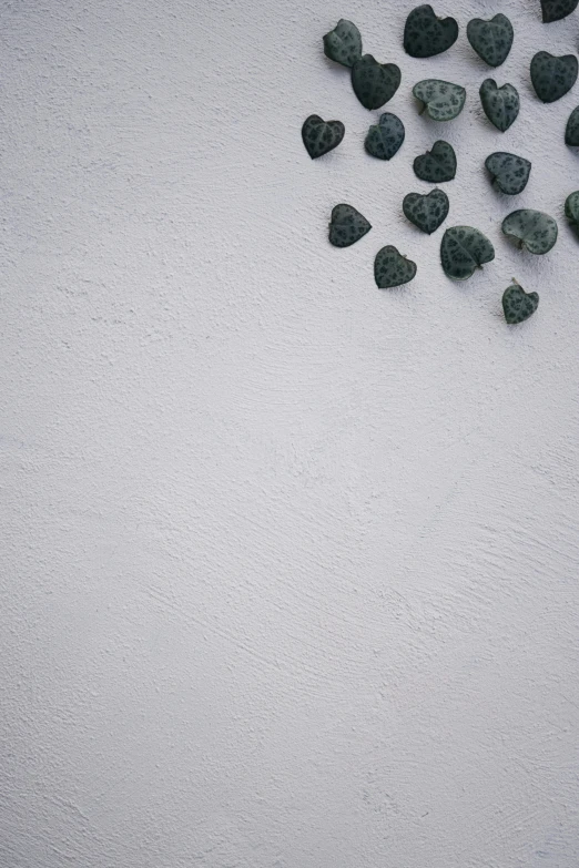 many small rocks on white sand and gravel