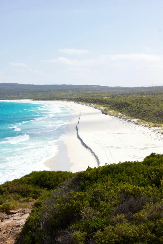 the white sandy beach has an area that can be visited for wildlife purposes