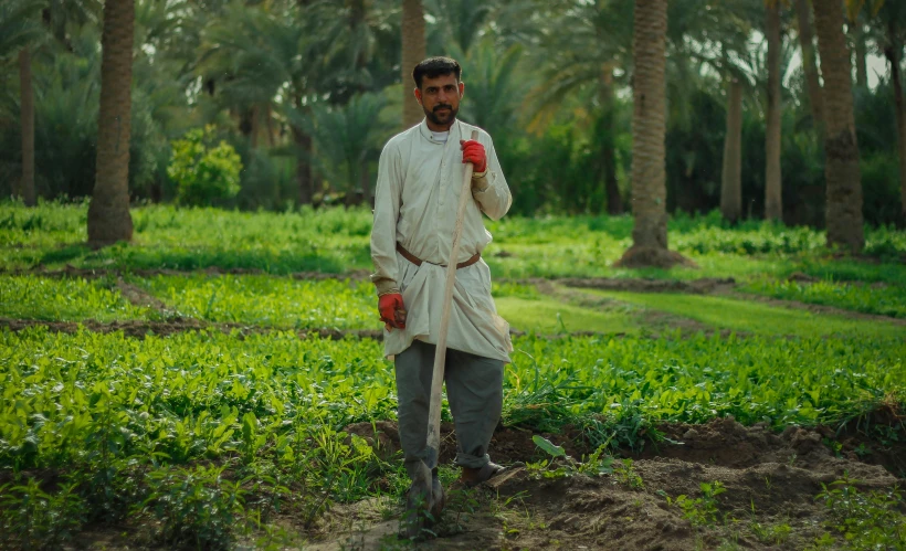 a man standing in the middle of a forest