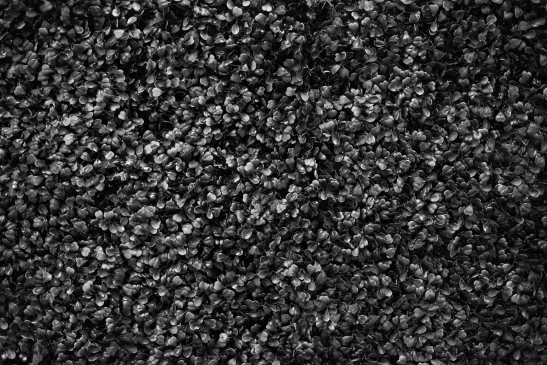 a carpet with many small gray dots