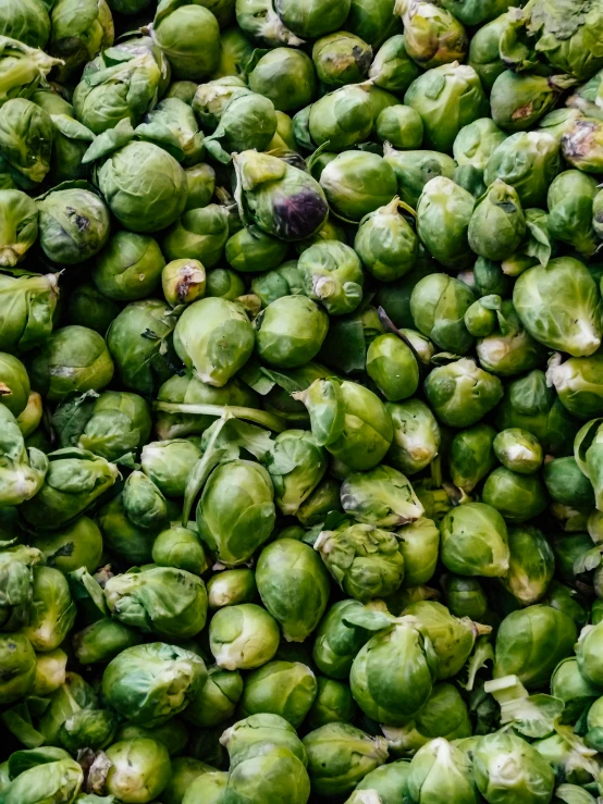 brussel sprouts are a good source for many healthy veggies