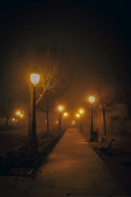 an empty park street with lights in the dark