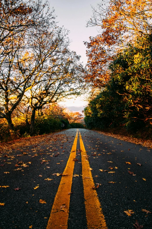 two yellow lines on the road with a blue sky