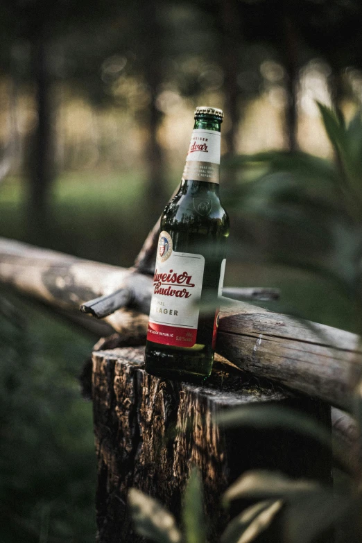 a bottle of beer sits on top of a log