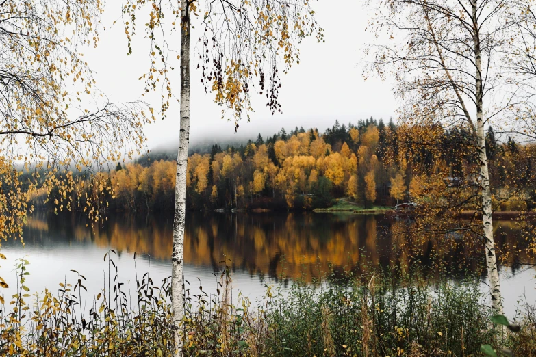 a body of water surrounded by forest with fall foliage