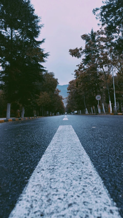 a long narrow road with trees around it