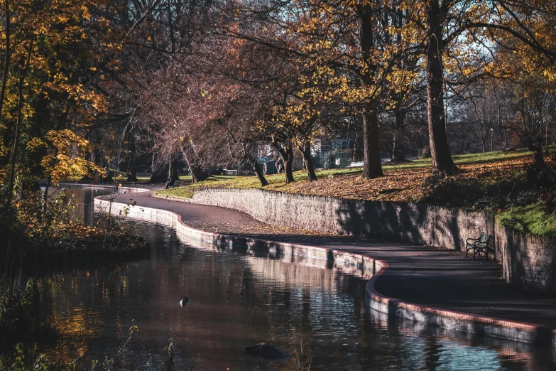 a small stream with trees lining the sides