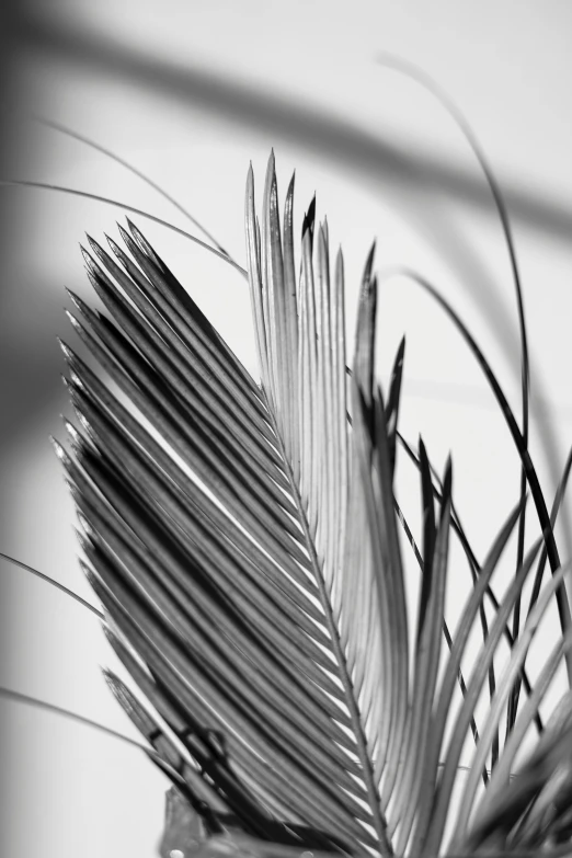 a small plant sits in a glass vase