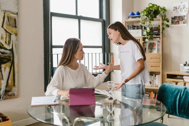 a  is talking to another woman at a dining room table