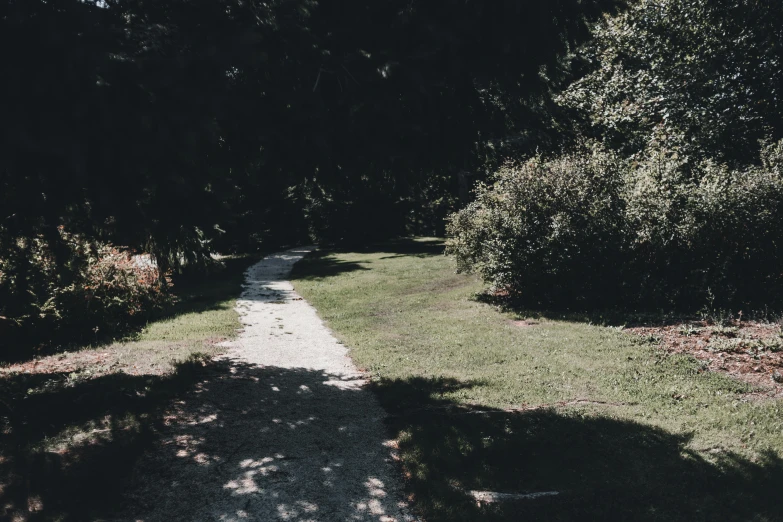 the path in the distance is next to a bunch of trees