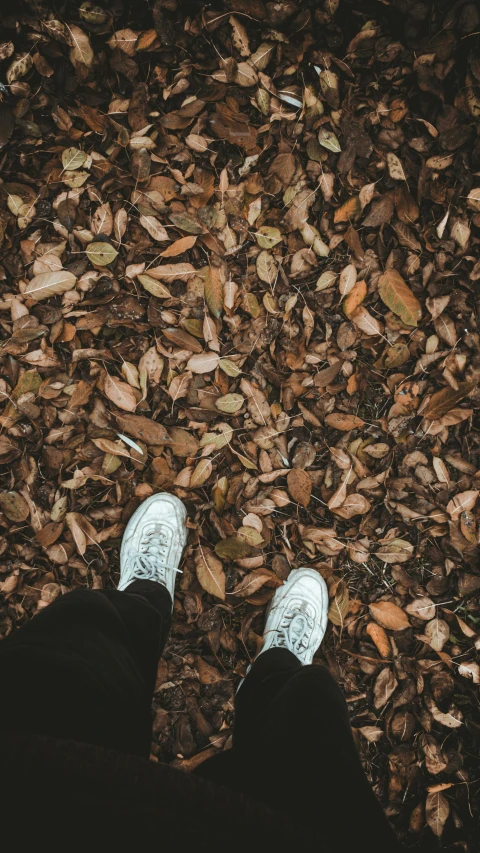 a man in black pants and white shoes standing on some leaves