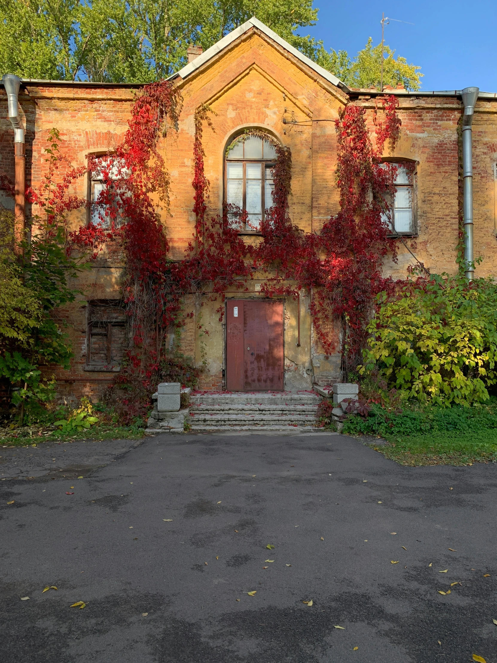 a building with vines growing over it in front of it