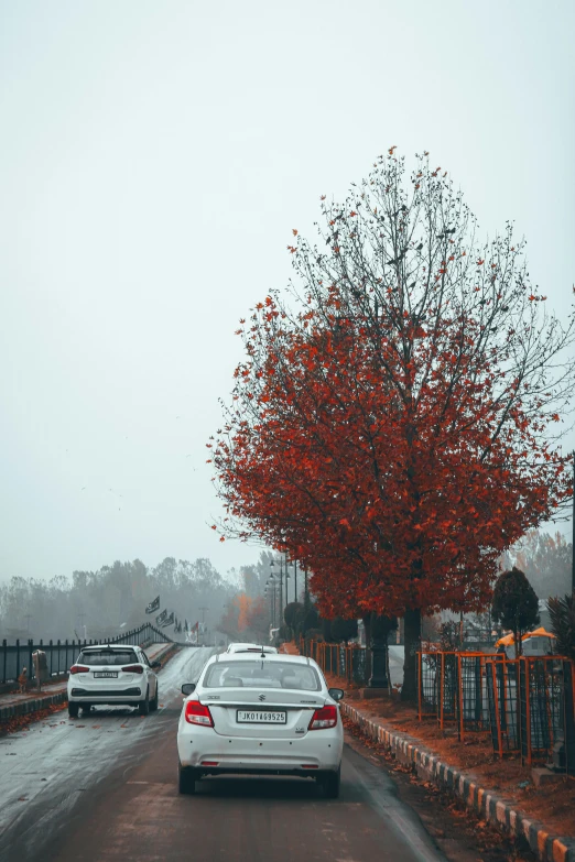 a bunch of cars that are on a road