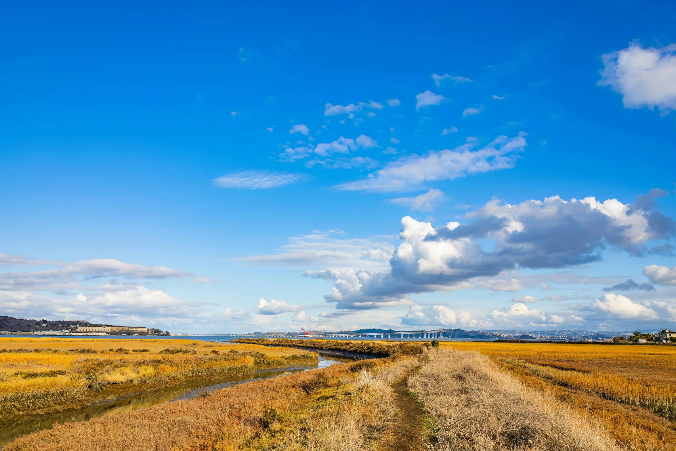 a dirt road going through an orange grassy field