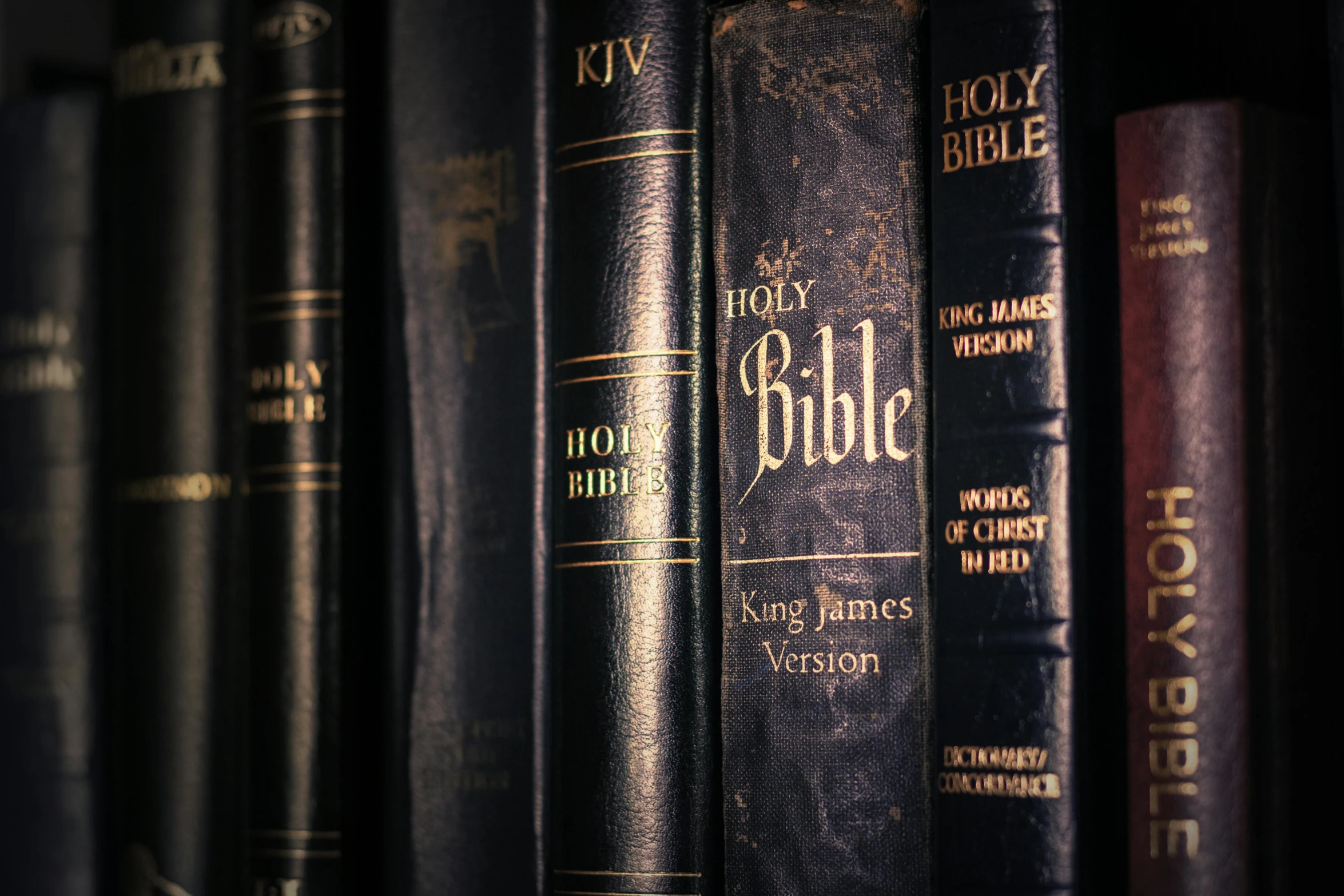 some books are sitting on a shelf beside other one