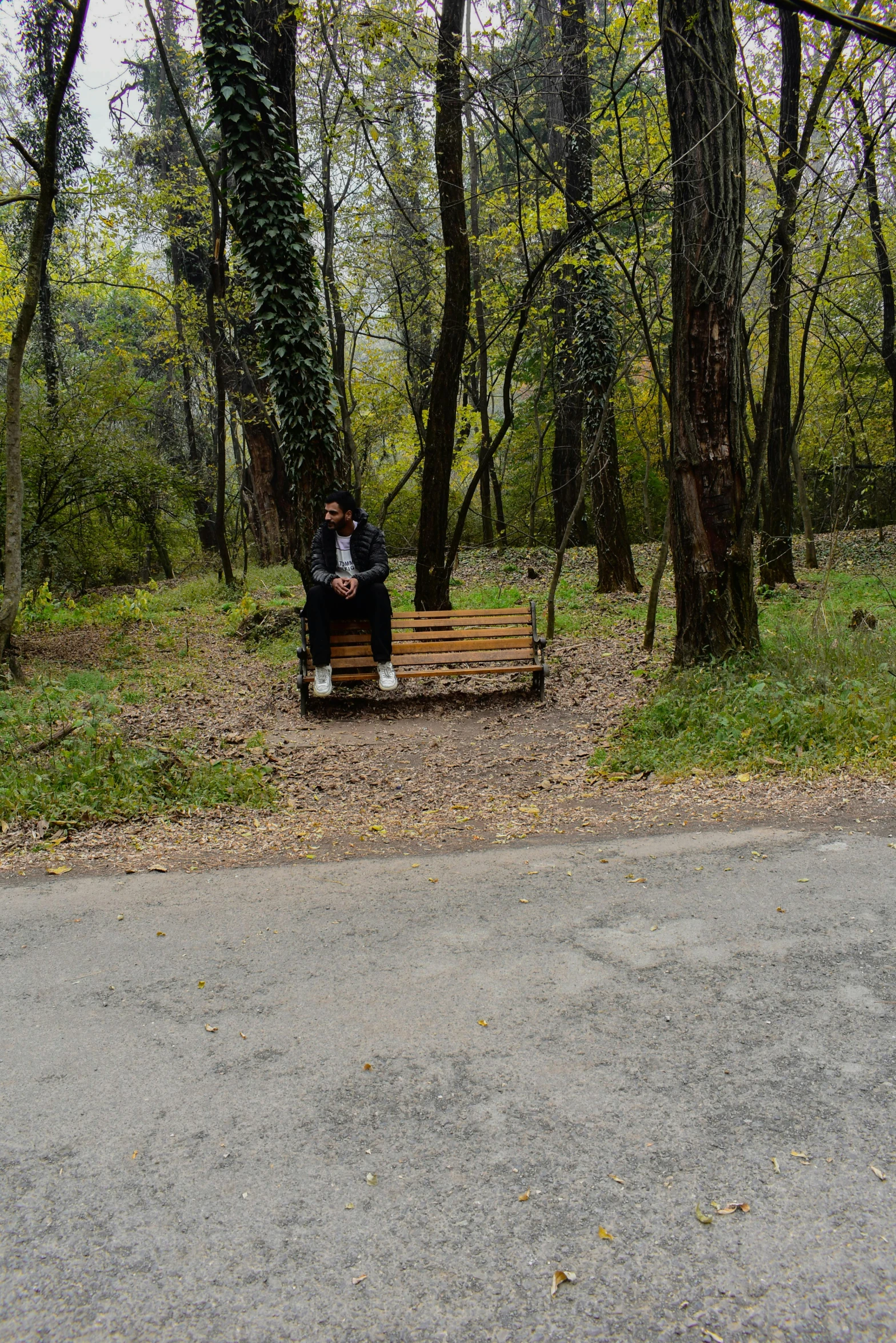 two people sitting on a bench next to some trees