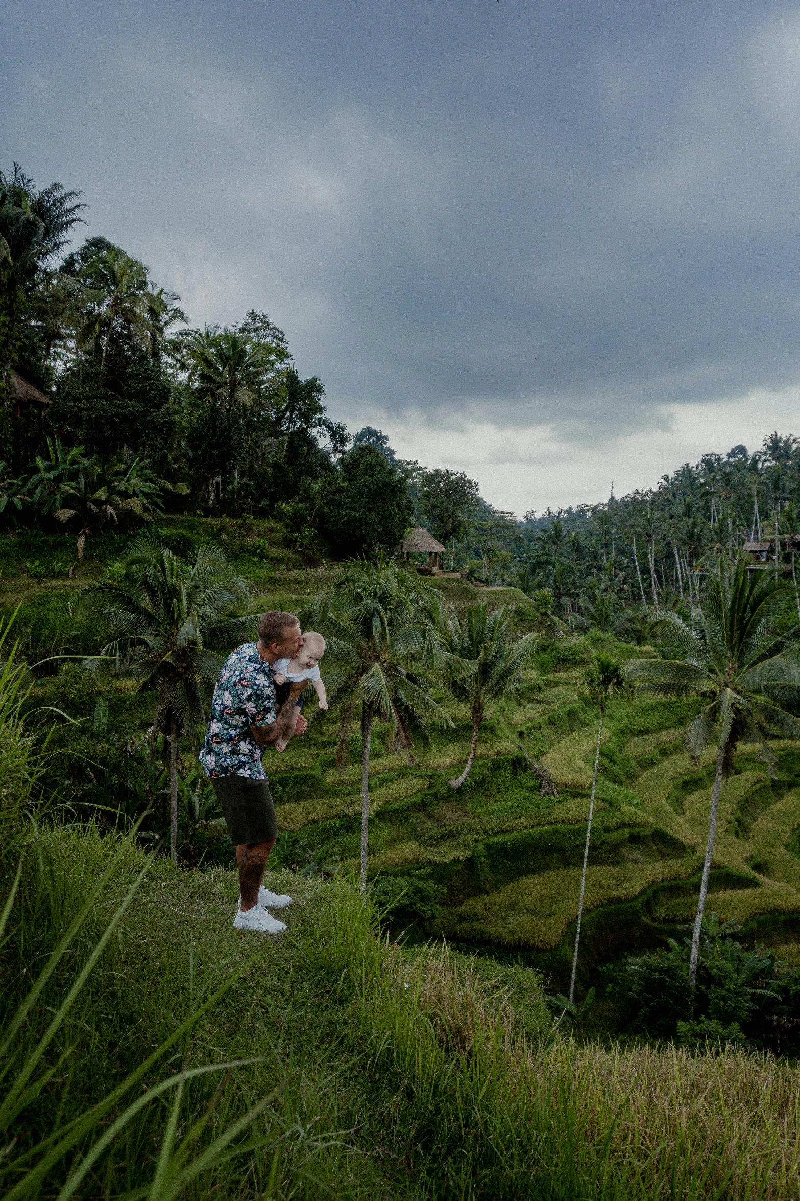 a man in a blue shirt and some trees and grass