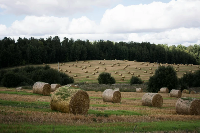 a large grassy field with lots of hay bales