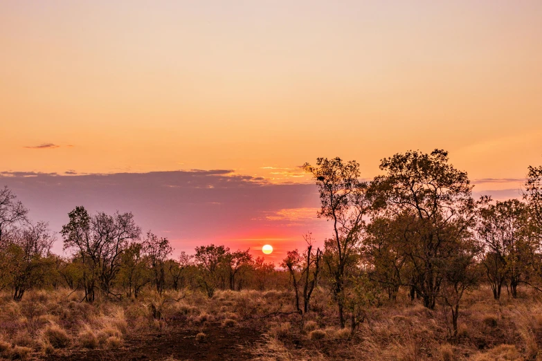 a sunset in the distance with trees and grass