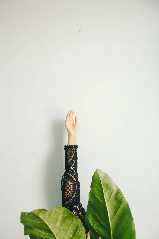 person's hands reaching toward a leaf