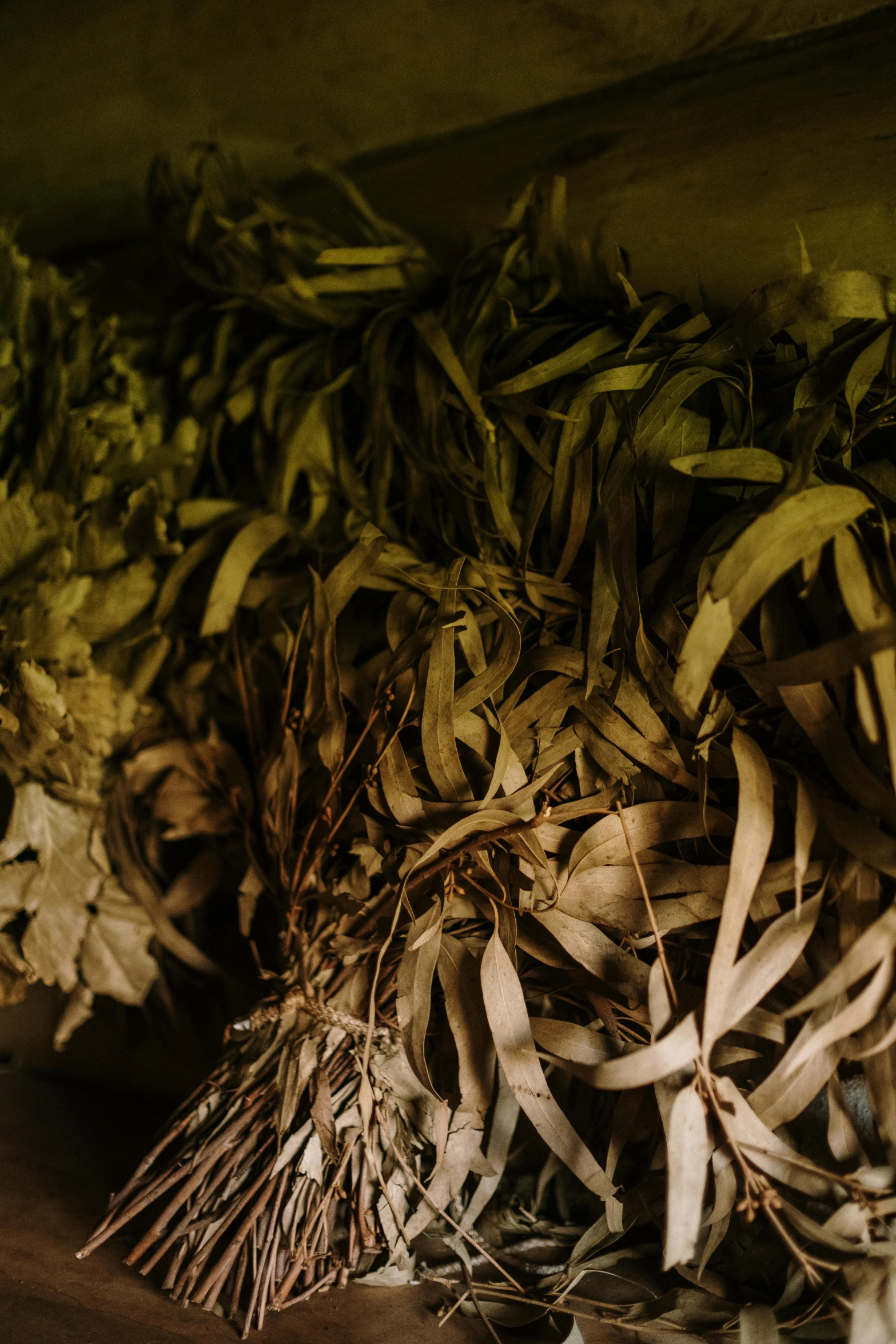 a large pile of various greens and twigs