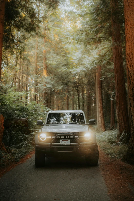 a white truck driving on a road near a forest