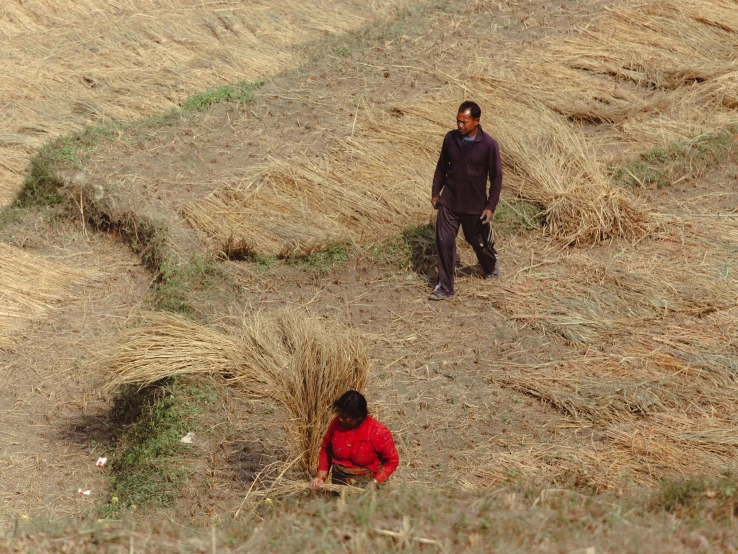 two men working in the field while one is holding a hay bale