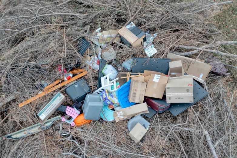 an image of discarded stuff and toys in the woods