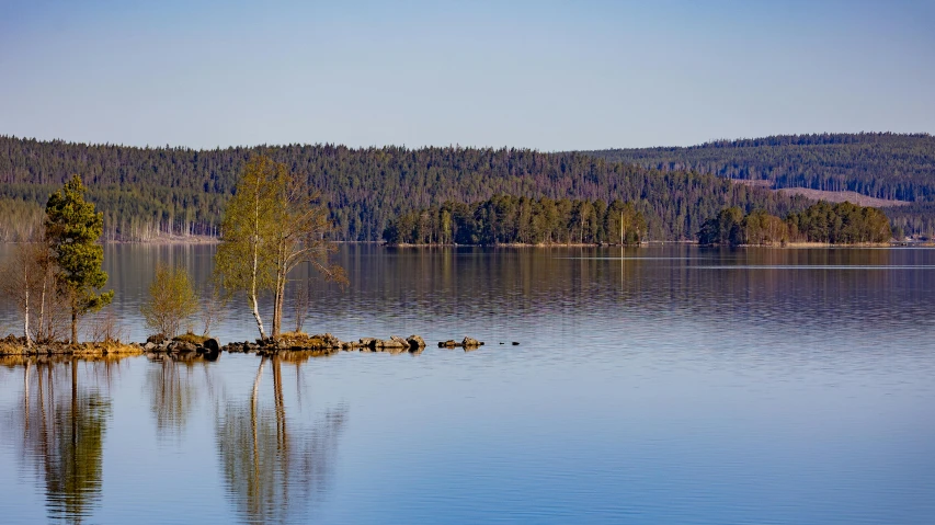 trees on land next to water and a hill